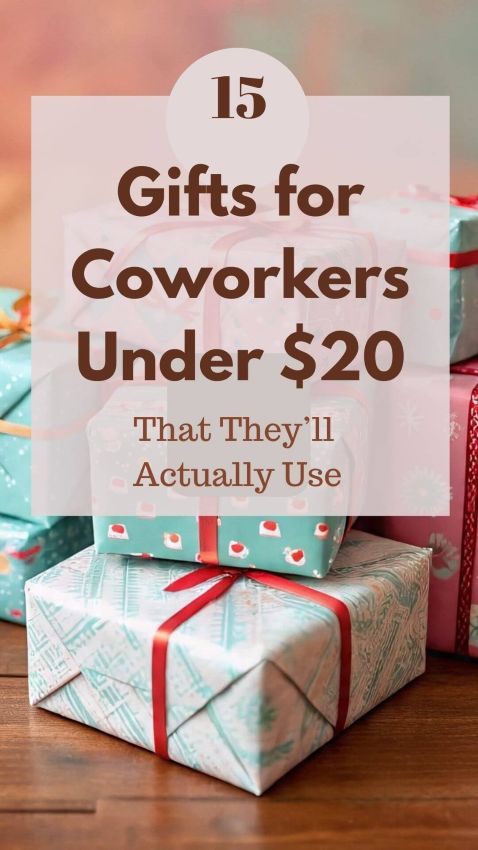 gifts for coworkers under $20
